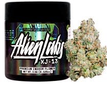 Alien Labs: Xj-13