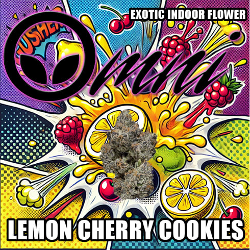 OMNI: Lemon Gelato Cookies