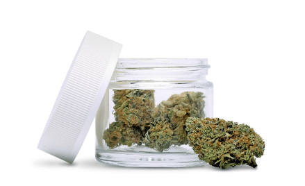 Greendawg Cultivators: Dawg Fuel