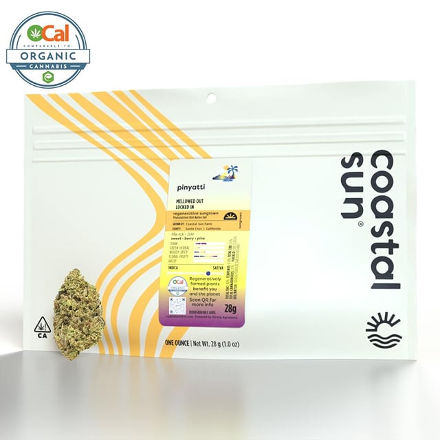 Pinyatti | 28g