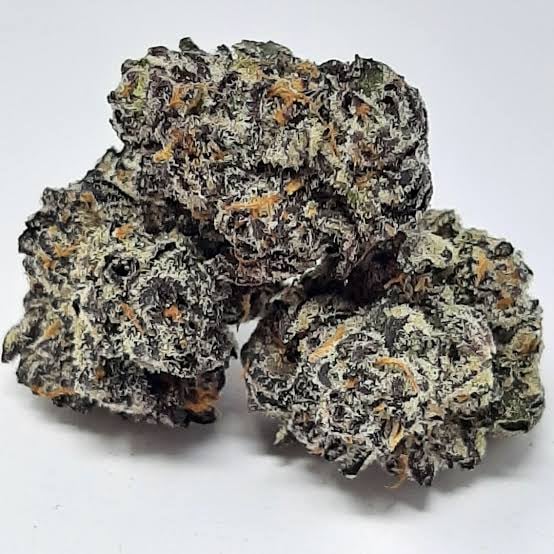 Black Mamba