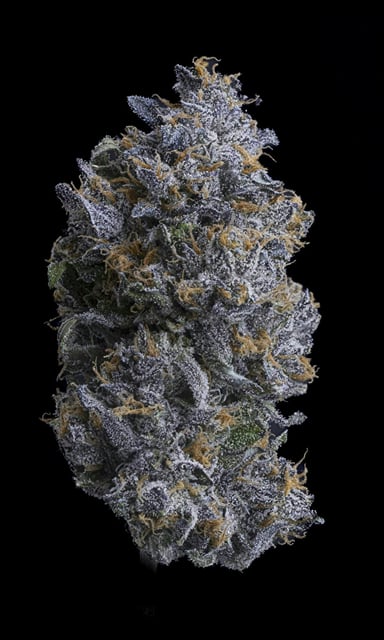 Bu******m Runtz | Big Buds | 3.5g