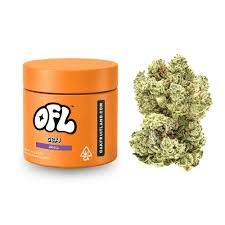 GG#4 7g Jar
