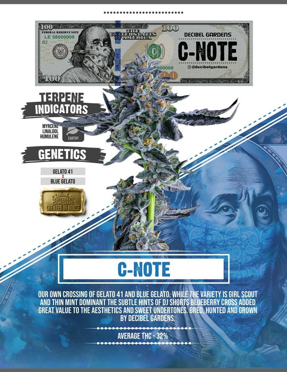 Decibel Gardens | 1g - C-Note - Infused Pre Roll - Decibel Gardens -  - $16 - Pre-Rolls