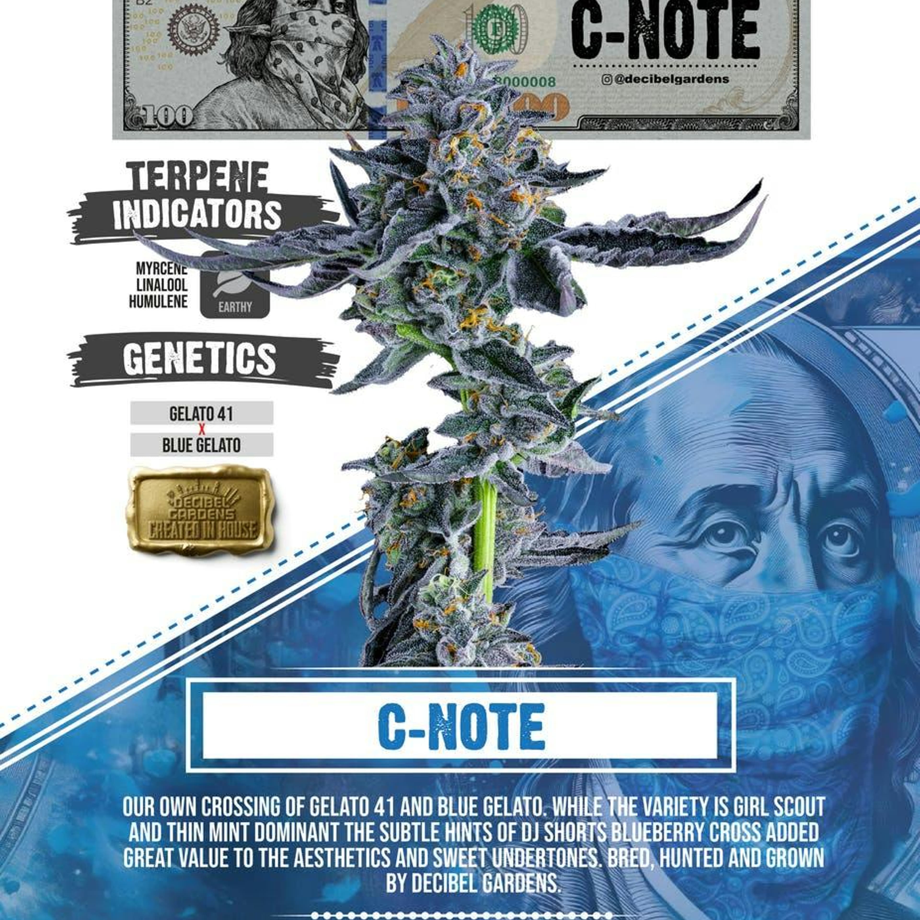 Decibel Gardens | 1g - C-Note - Infused Pre Roll - Decibel Gardens - - $16 - Pre-Rolls