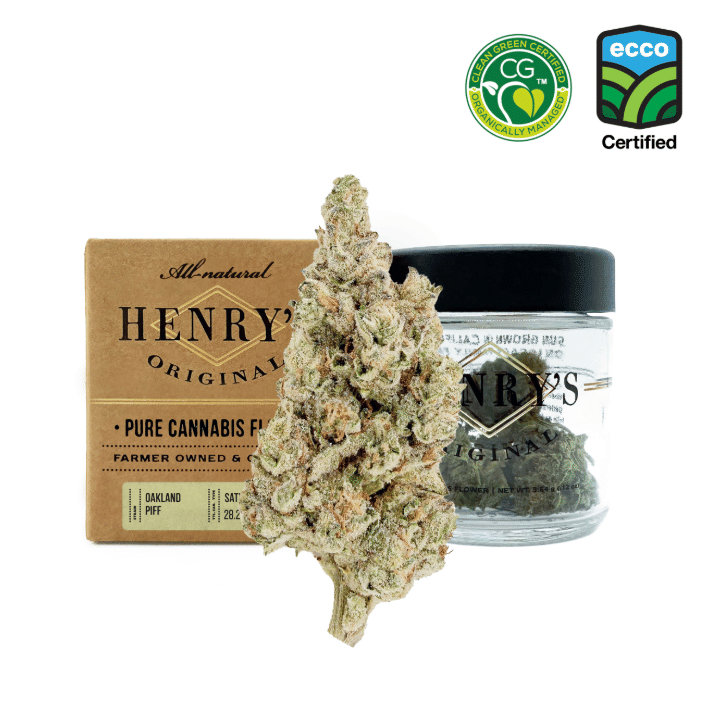 Henry's Original: Sales Floor