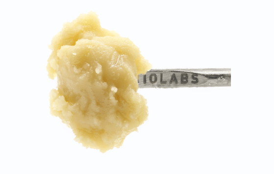 710 Labs: Paytons Pie #1 - Persy