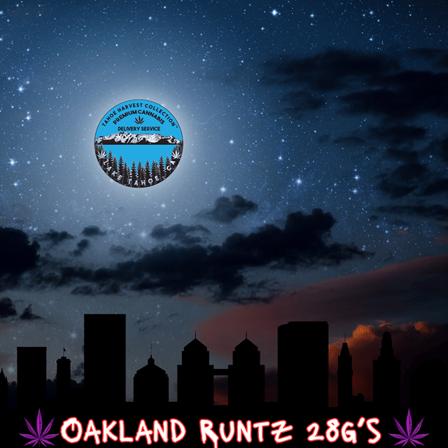 Oakland Runtz | Flower | 28g | Premium A-Buds