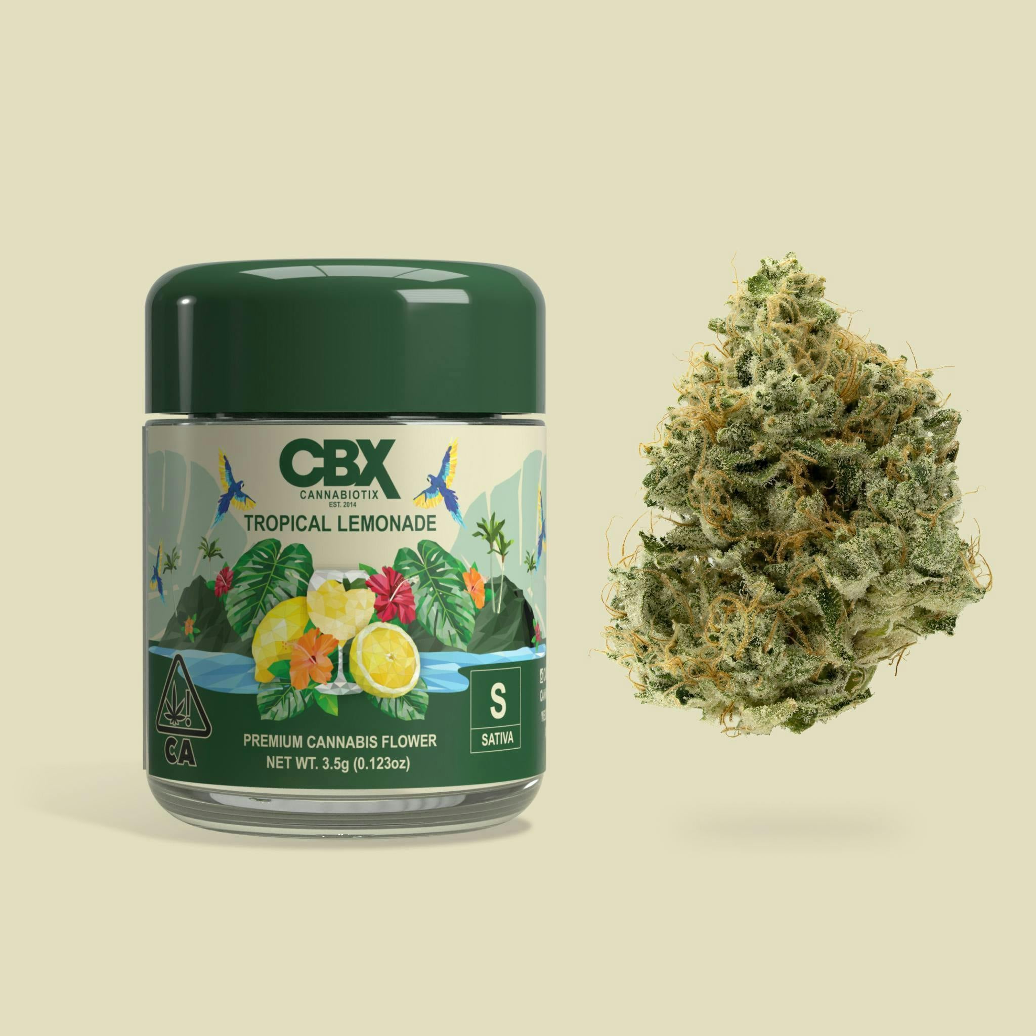 CBX: Tropical Lemonade