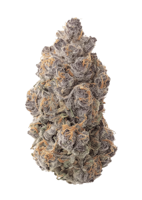 Sour Banana