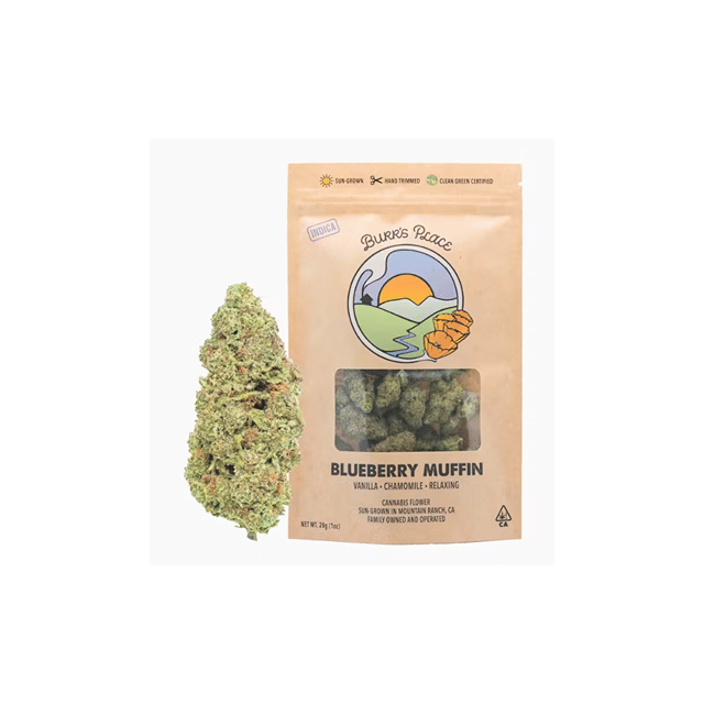 Blueberry Muffin - (28g)