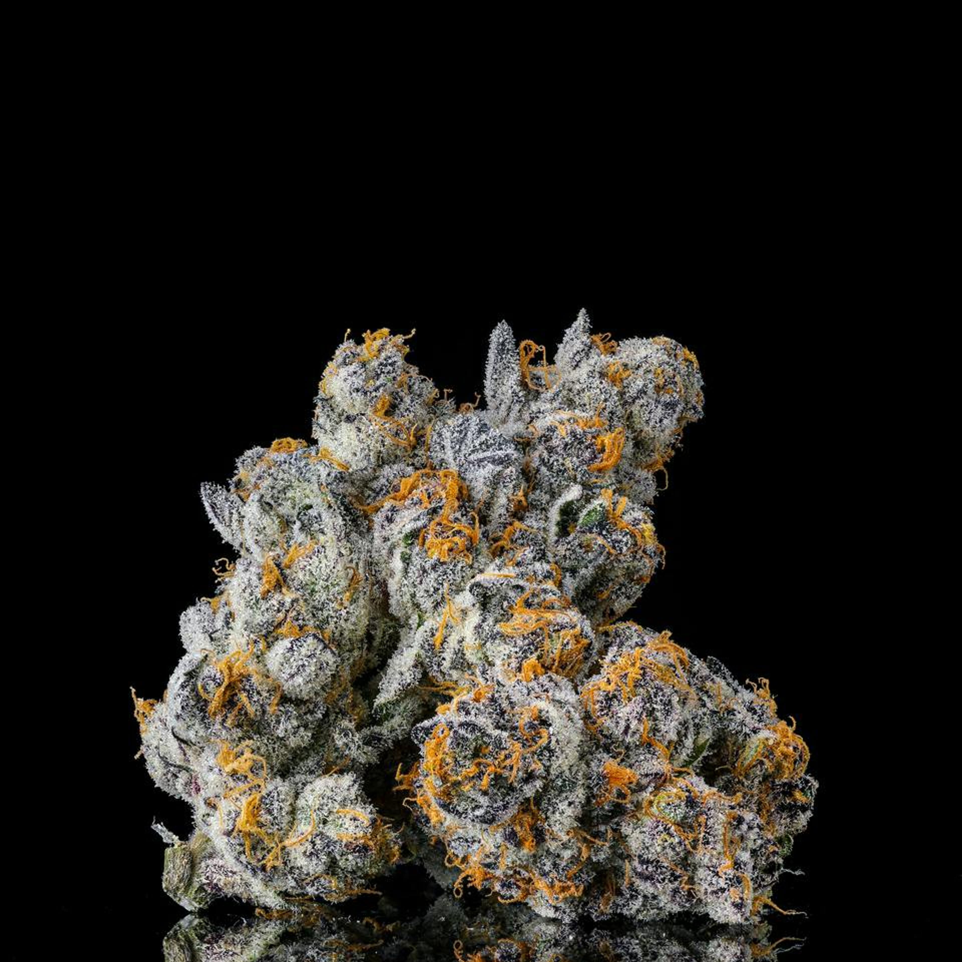 Decibel Gardens | 3.5g - Roswell 47 - Decibel Gardens - - $52.65 - Flowers