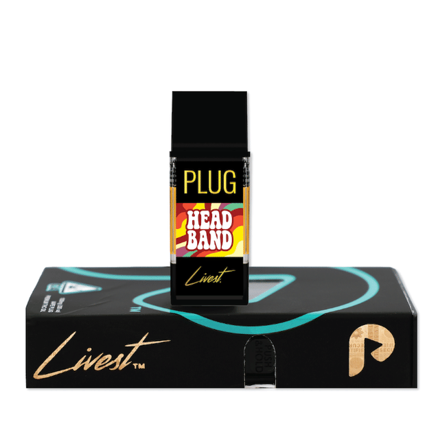 PlugPlay: Headband