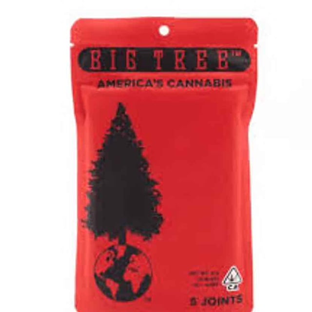 BIG TREE | 10G PAPAYA | 10PCK PRE ROLL