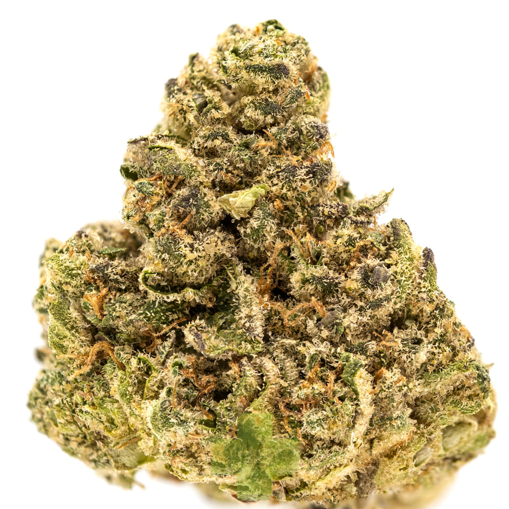 SEED JUNKY: Arctic Burst