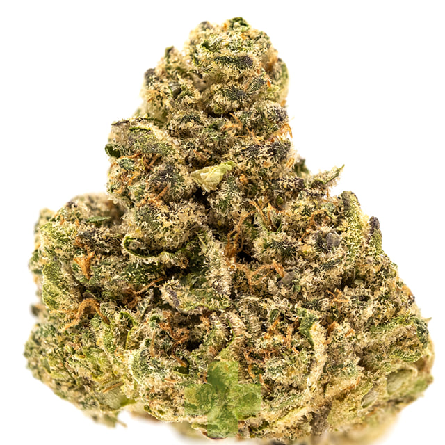 SEED JUNKY: Arctic Burst