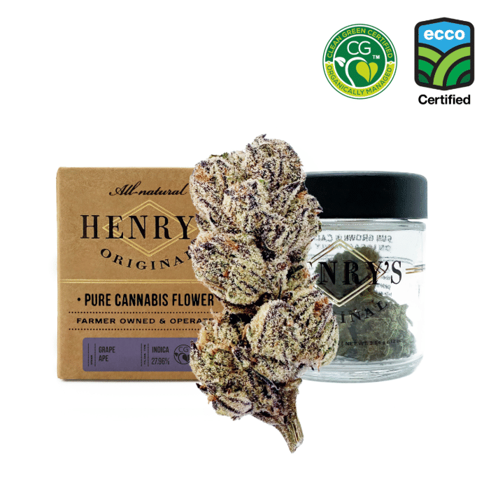 Henry's Original: Sales Floor