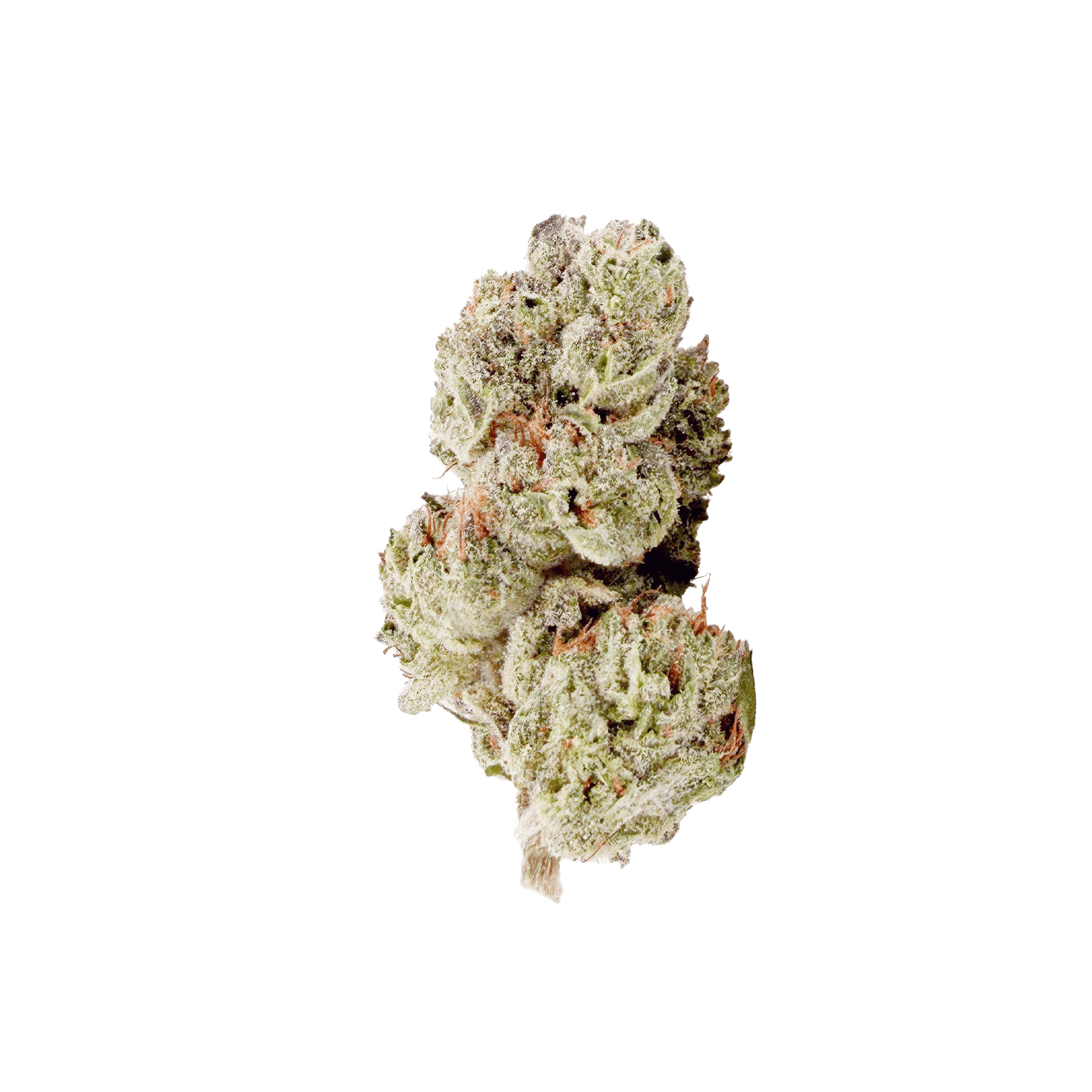Henry's: Watermelon Dream