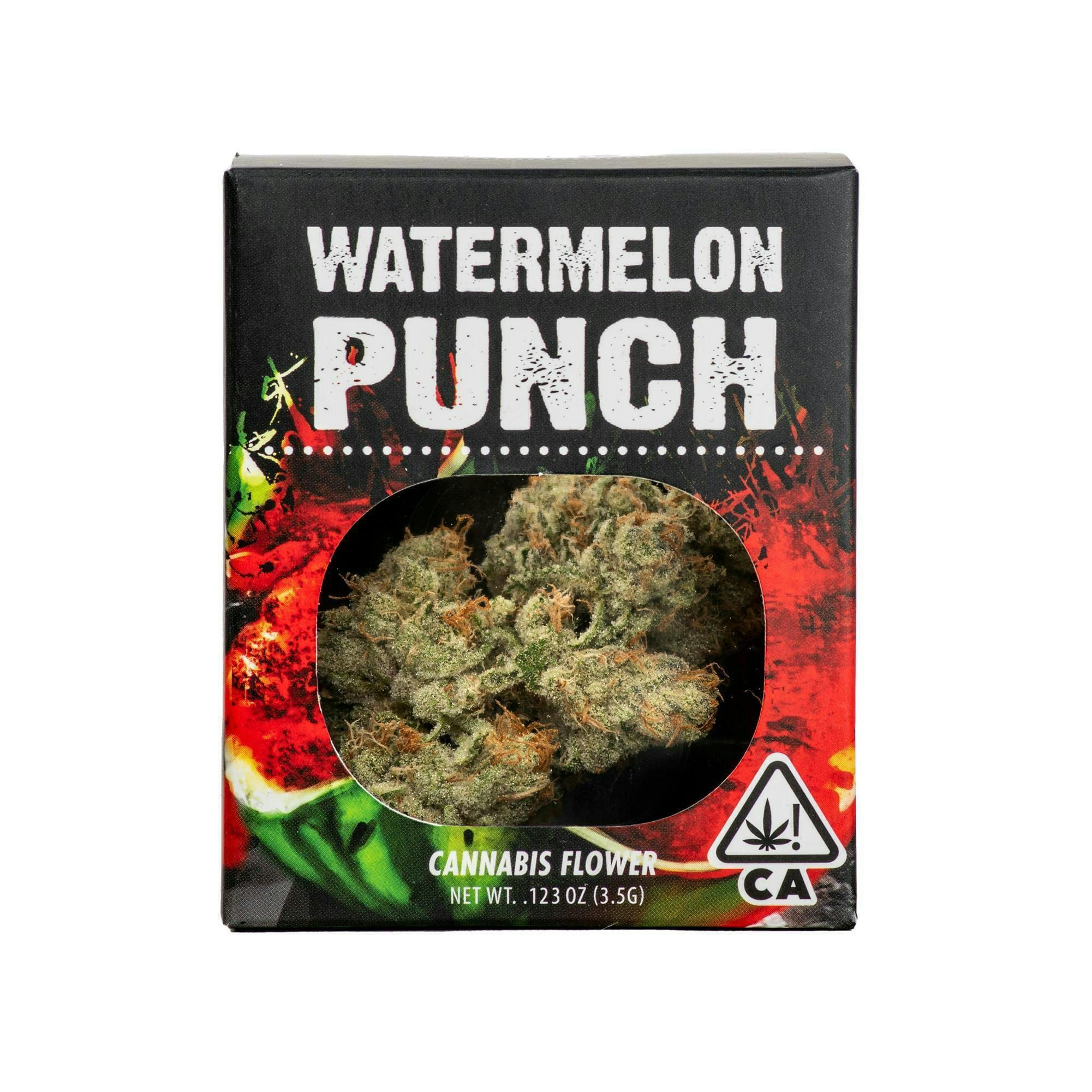 Decibel Gardens: Watermelon Punch