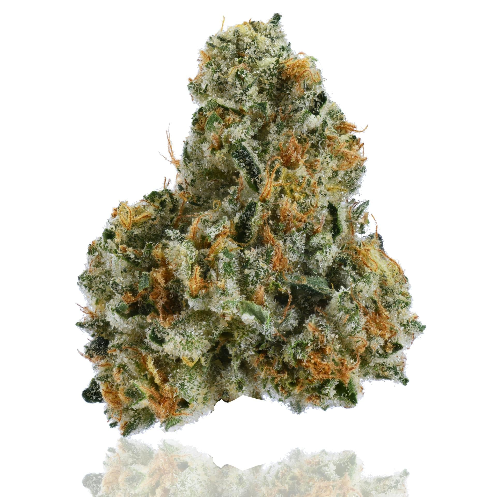 CAM Brand: Agent Orange