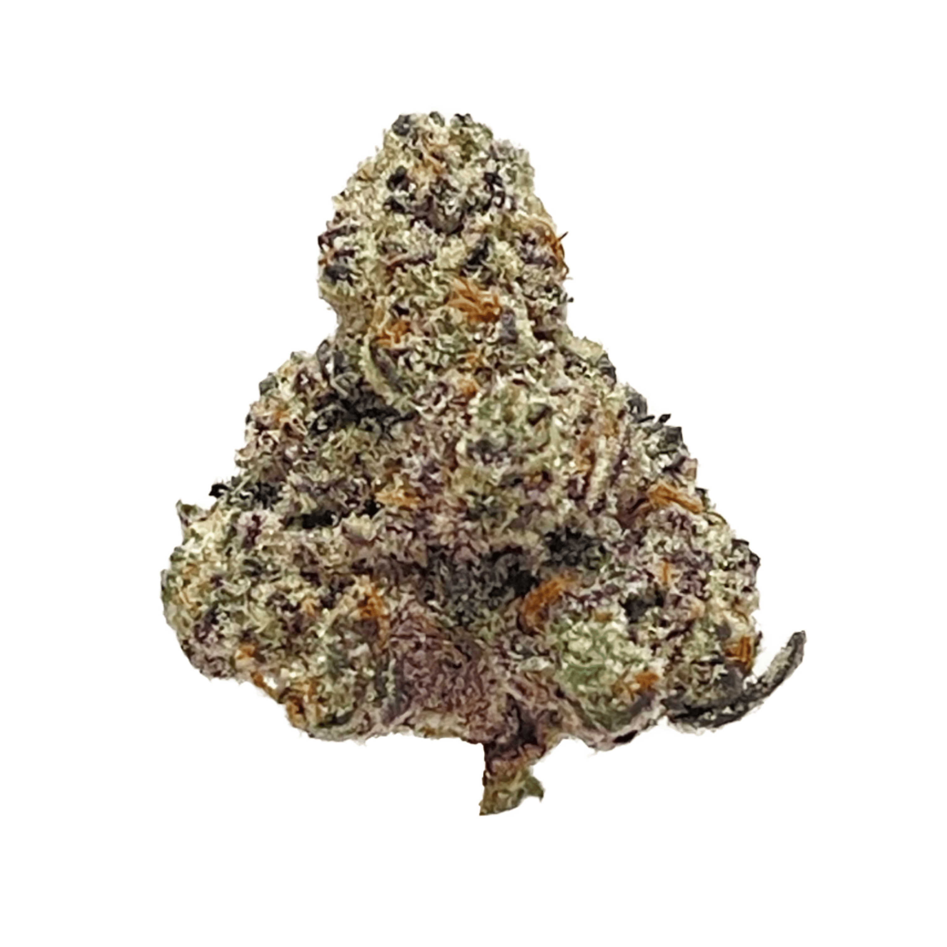 Green Dragon: Grape Socks