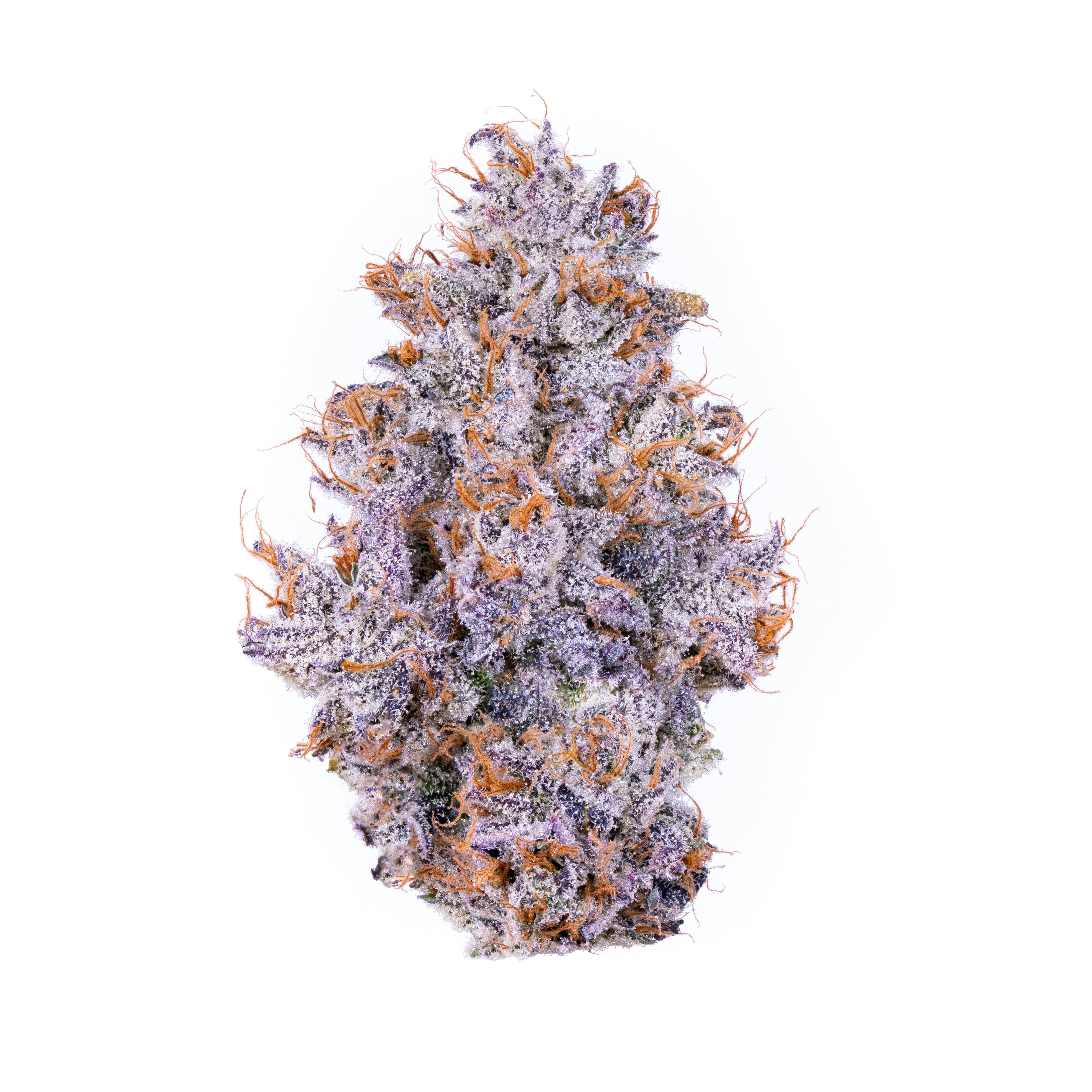 Alien Labs: Krypt Keeper