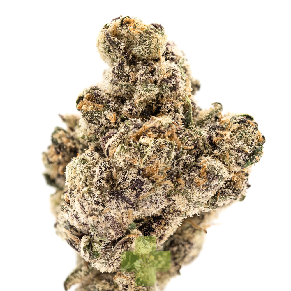 NUG: Biscotti Gelato