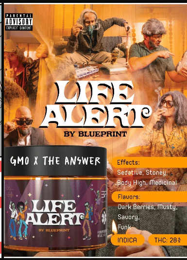 BluePrint: Life Alert - Eight