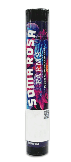 Pave Preroll 1g