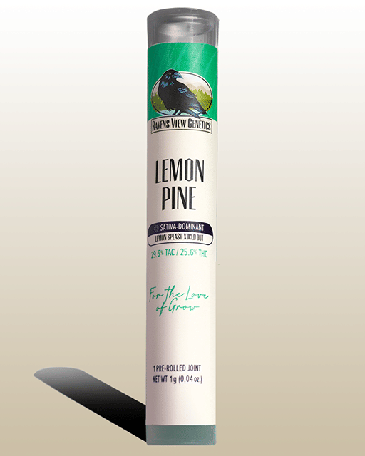 Lemon Pine 1g