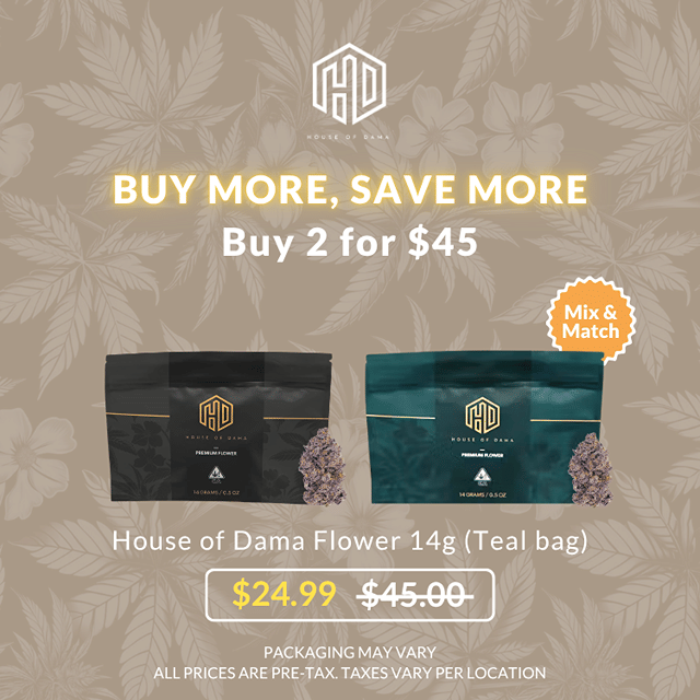 ASHE x House of Dama🌱- BUY MORE SAVE MORE $45💨