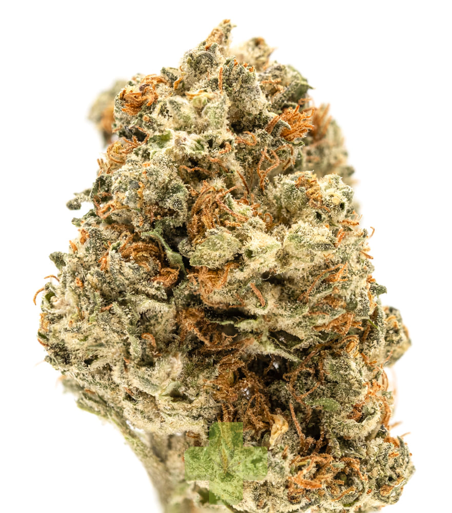 Autumn Brands: Mango Haze, Gh