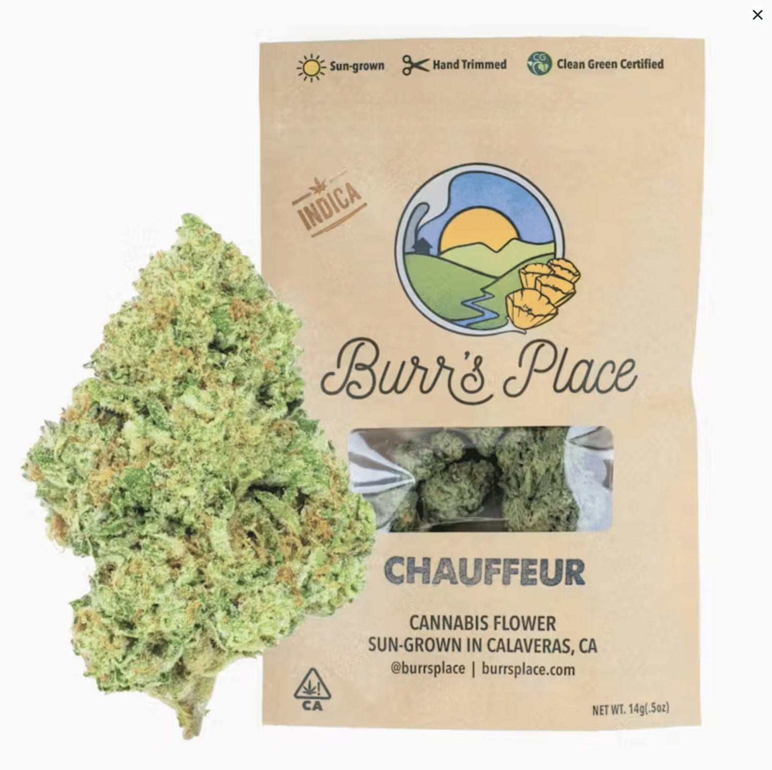 Burr's Place Organics: Chauffeur - Bigs - Bigs
