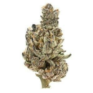 710 Labs: Sb 36 #1