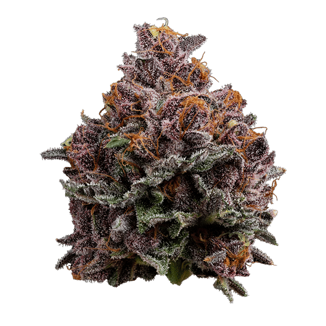 Cherry Whip