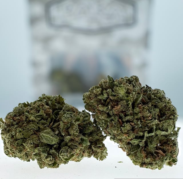 XJ-13