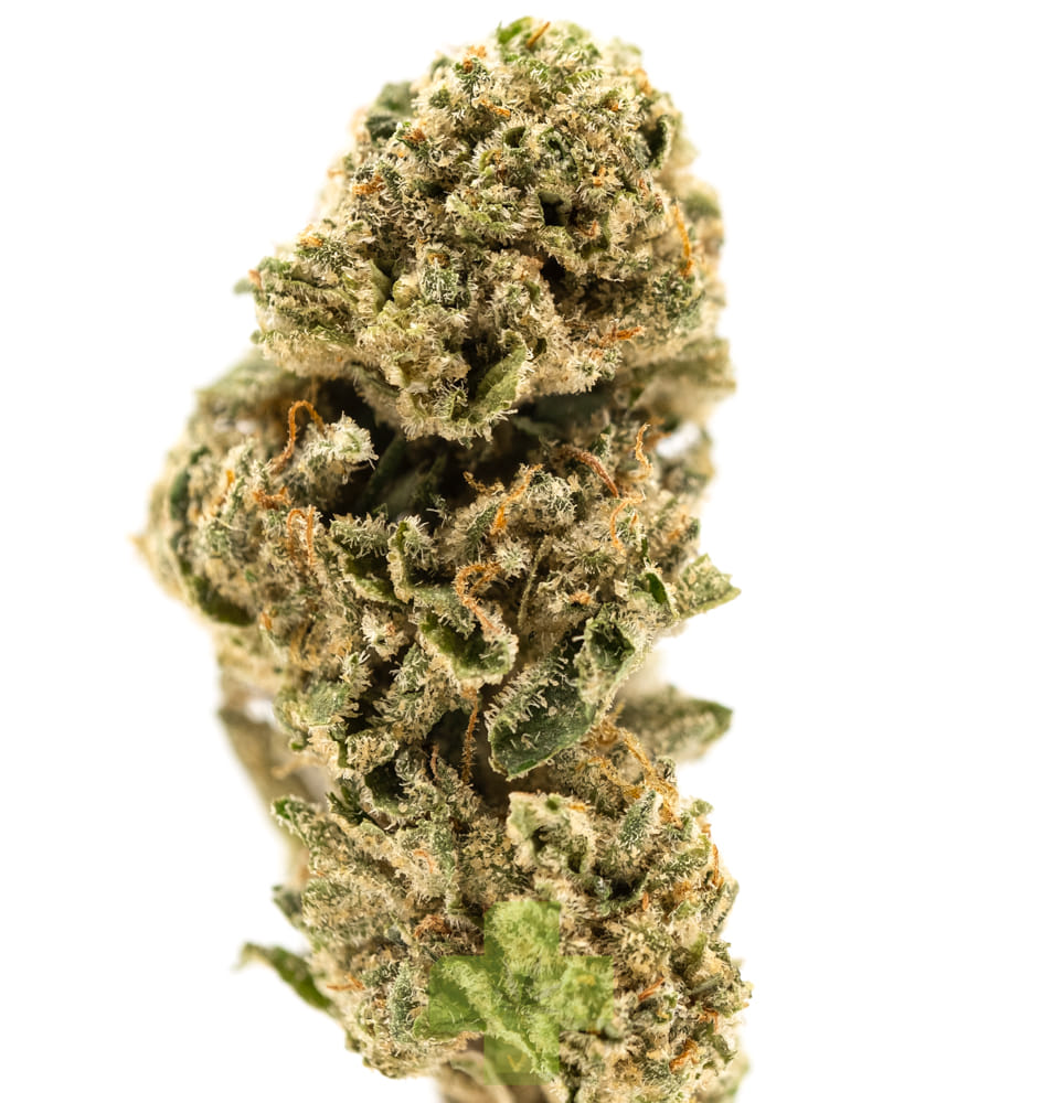 Autumn Brands: Sour Power #69, Gh