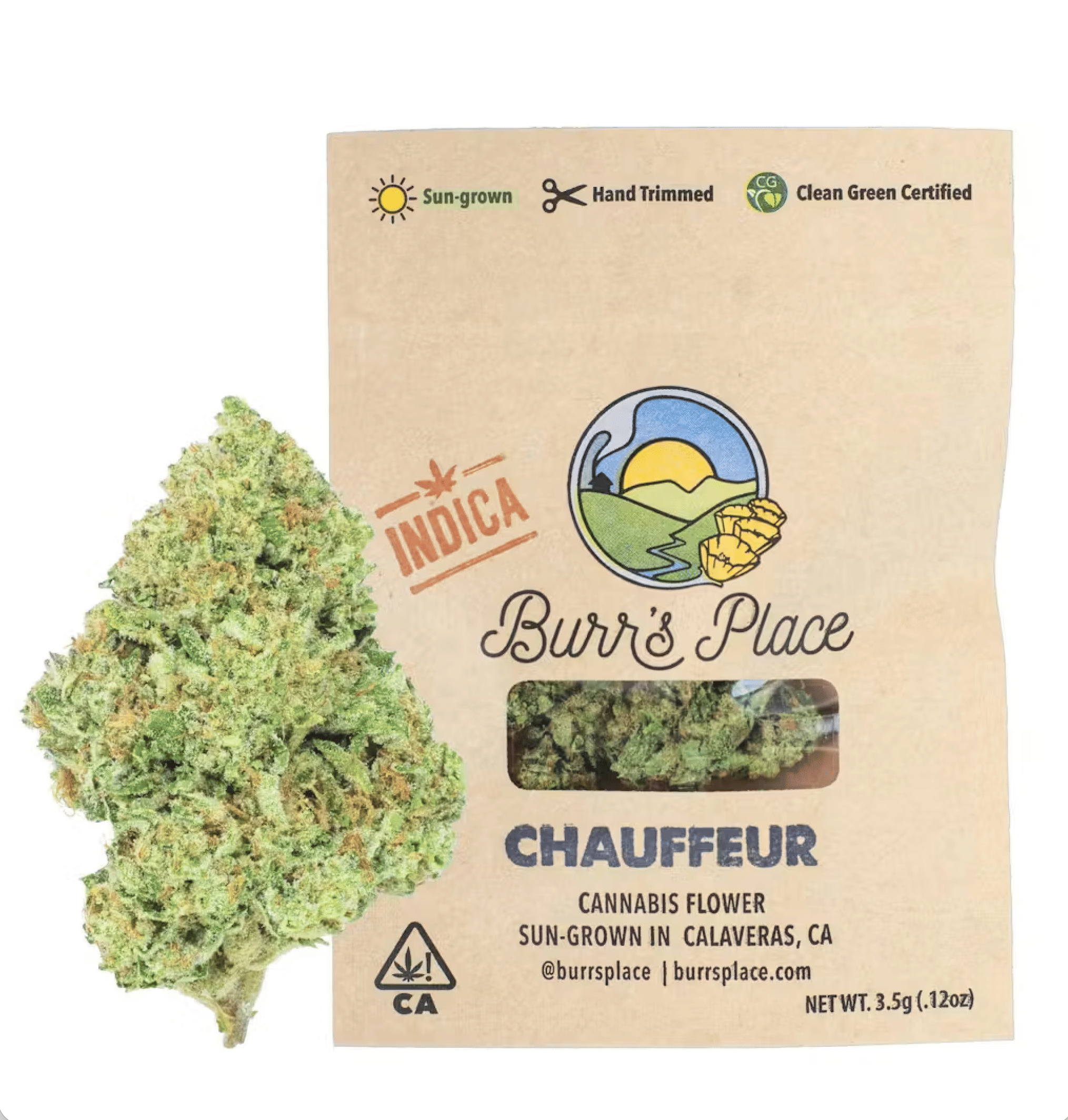 Burr's Place Organics: Pine OG - Bigs