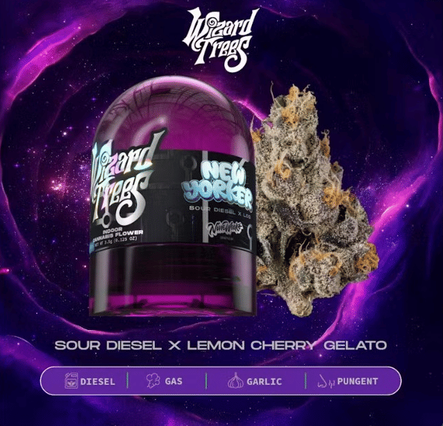 Wizard Trees - New Yorker - 3.5g