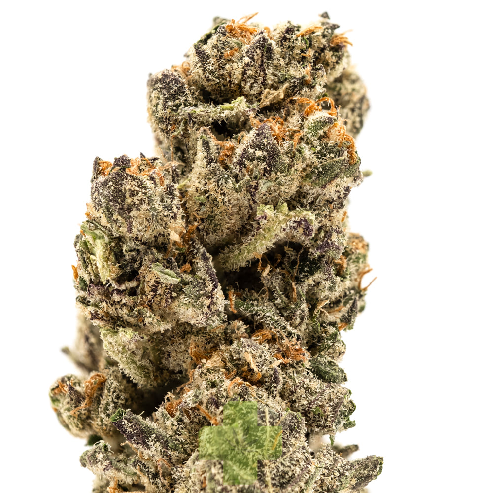 Humo: Menta Dulce, Gh