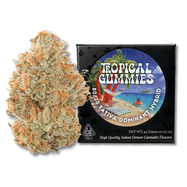 Tropical Gummies 3.5g