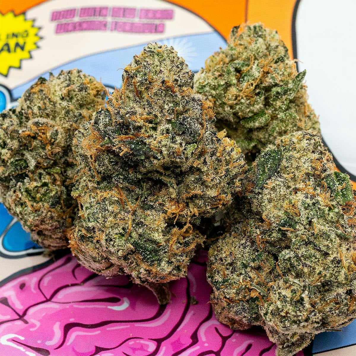 The Flower District: Brain Wash