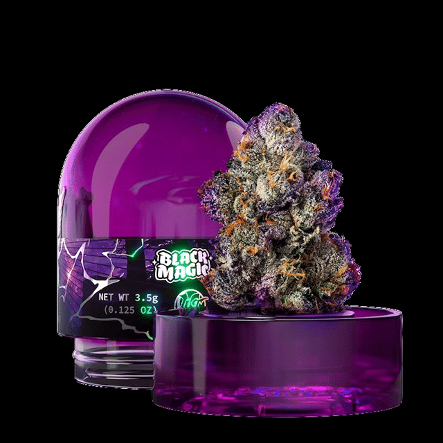 WIZARD TREES: Black Magic