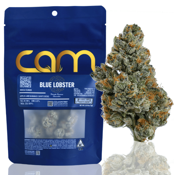 CAM: Blue Lobster