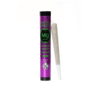 Micro Greenz: Black Cherry Gelato X Super Runtz