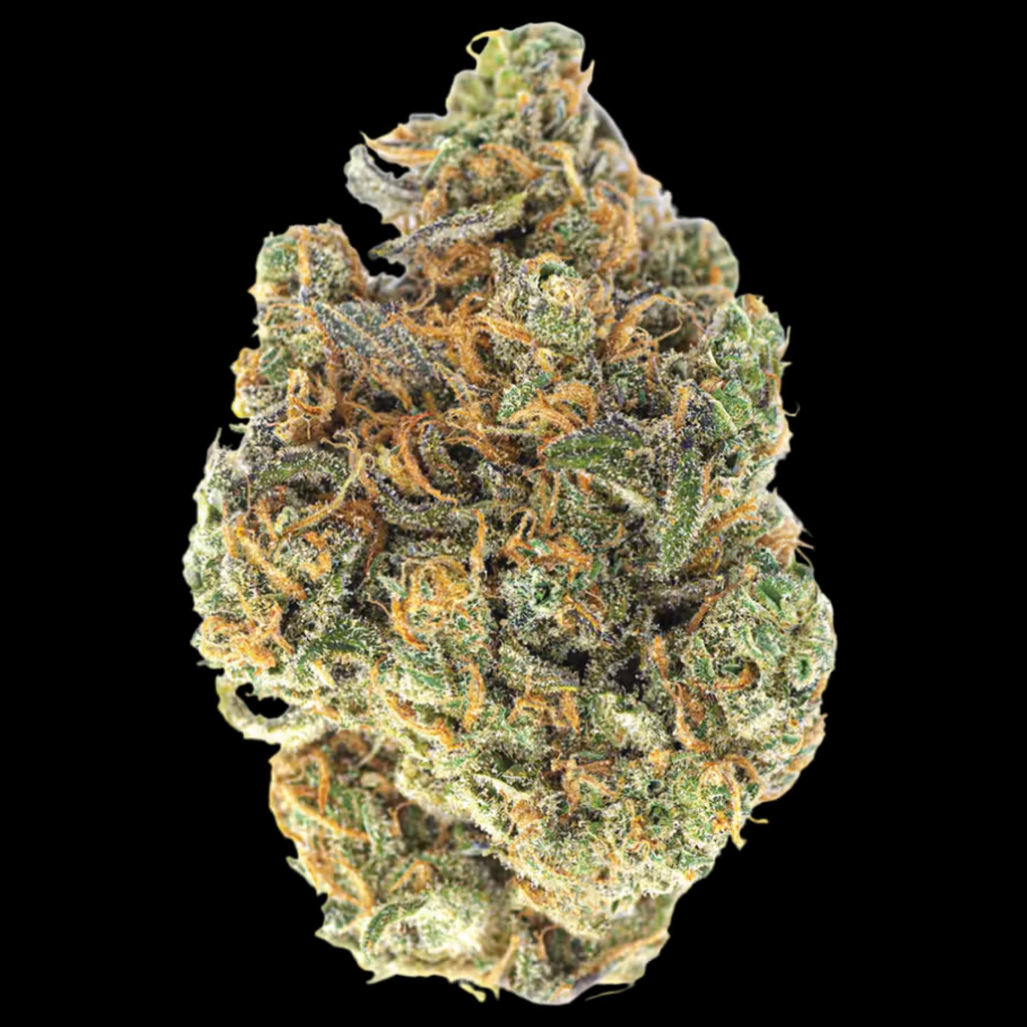 Big Tree: Mendo Breath