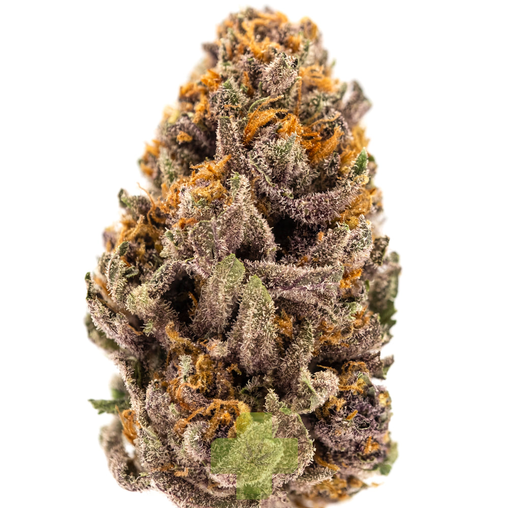Sonoma Hills Farm: Pink Jesus