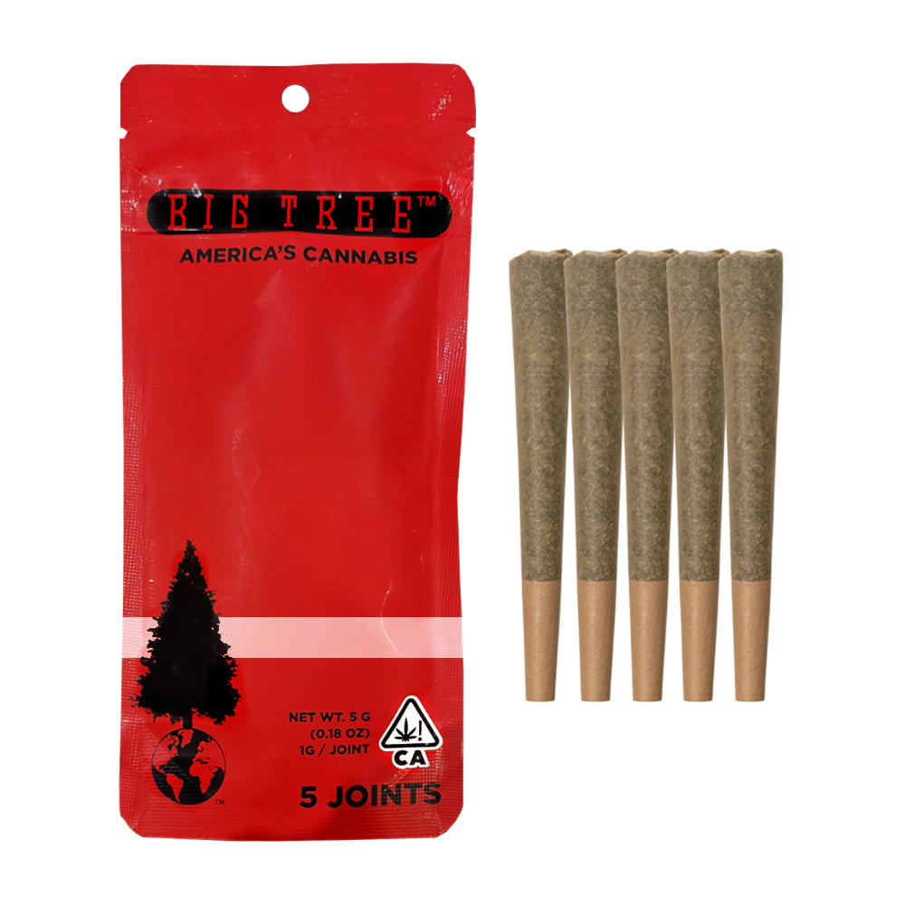 Big Tree Cannabis: Biscoff Cookies