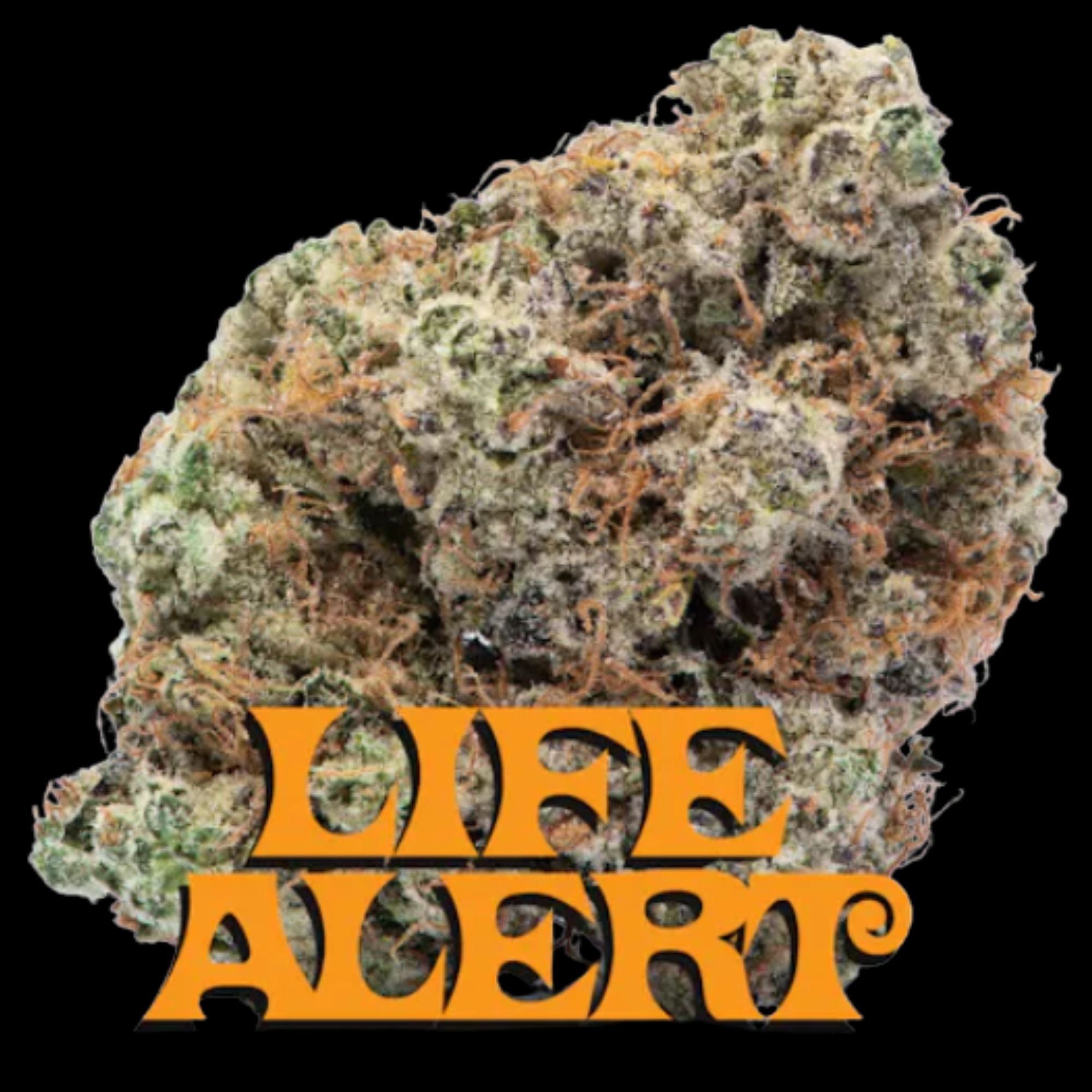 BluePrint: Life Alert