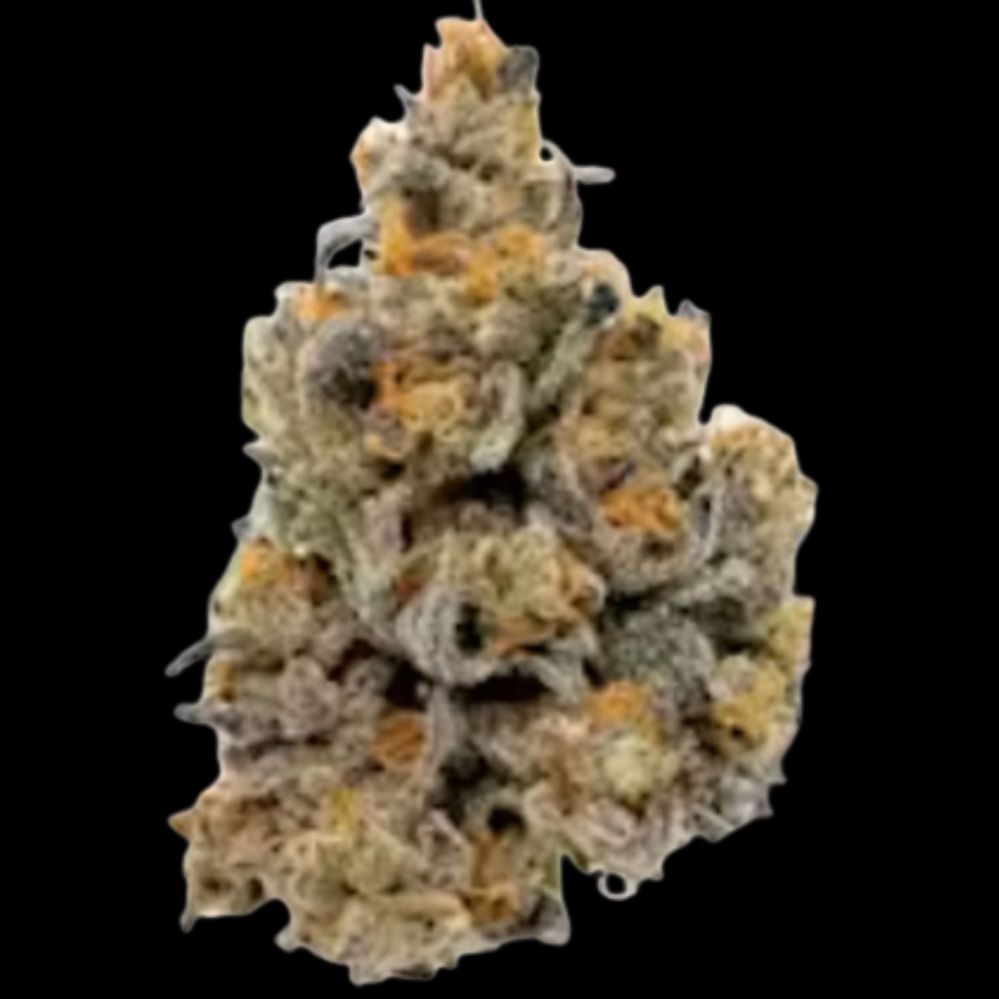 SATTVA: Rocket Pop